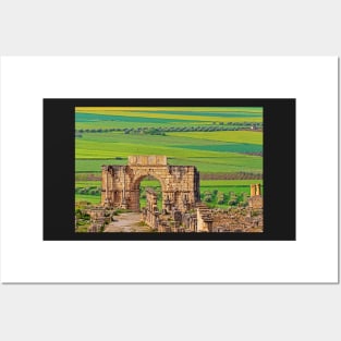 Volubilis Arch & Countryside. Posters and Art